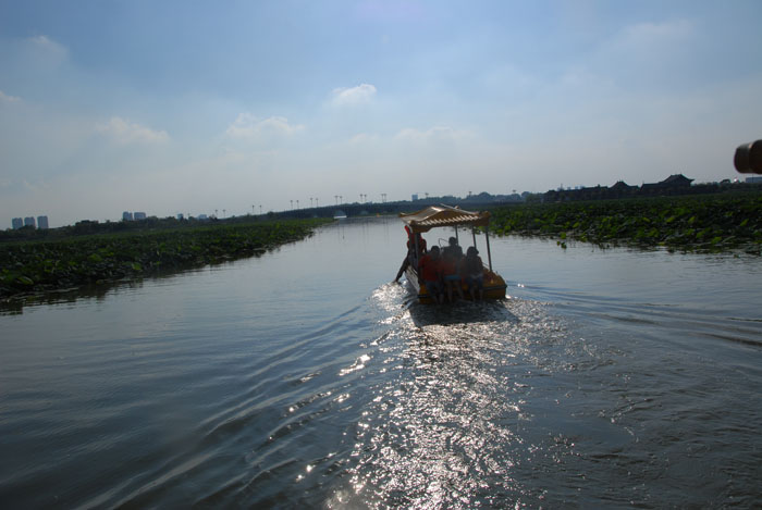 Ϧ�(y��ng)������ӭ�������ϰ�